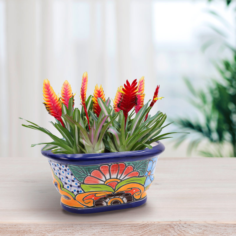 Pot à fleurs en céramique Talavera, H 5 po x l 12 po x P 5 po