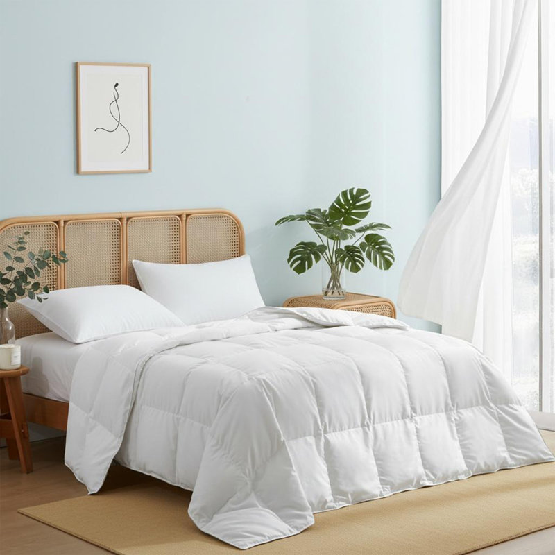 Lightweight Ultra-Soft Natural Feather Down Fiber Comforter/Duvet Insert, Full/Queen, Full/Queen, White