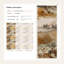 Papier peint Misty Mountains-325949818