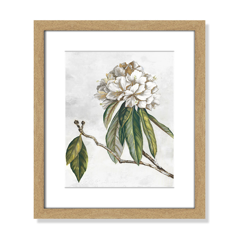 «Pearly Beauty II» par Eva Watts, Imprimé mat, L 13 po x H 15 po, Naturel