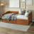 Anayelli Solid Wood Classic Daybed with Trundle-1531215804