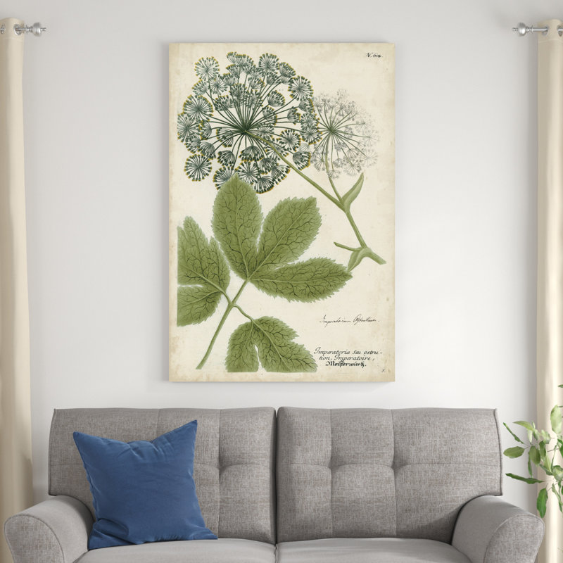 Queen Anne's Lace, H 48 po x l 32 po x P 1,25 po