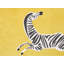Aviva Animal Print Yellow Square Cushion