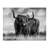 Mack " A Bull " by Ata Alishahi-31980535