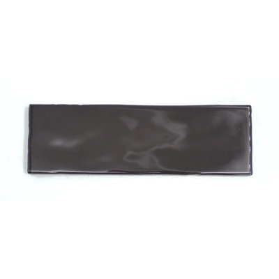 Passion 2.56 W x 7.87 L Tile