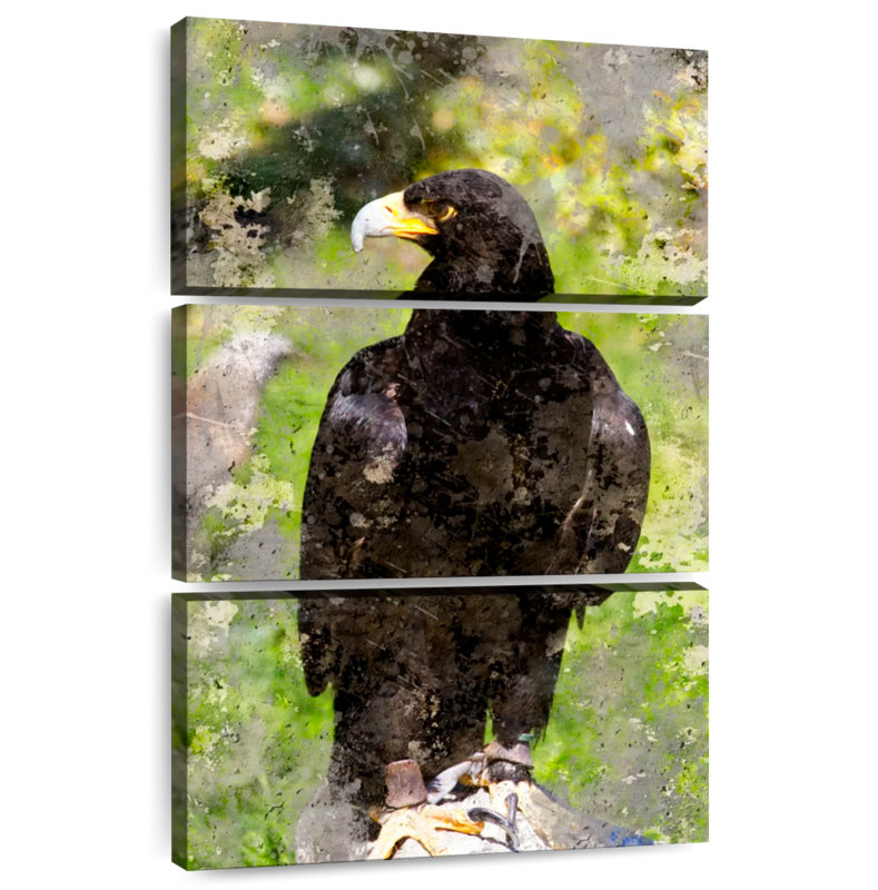 Brampt Majestic Black Eagle, 57" H x 36" W