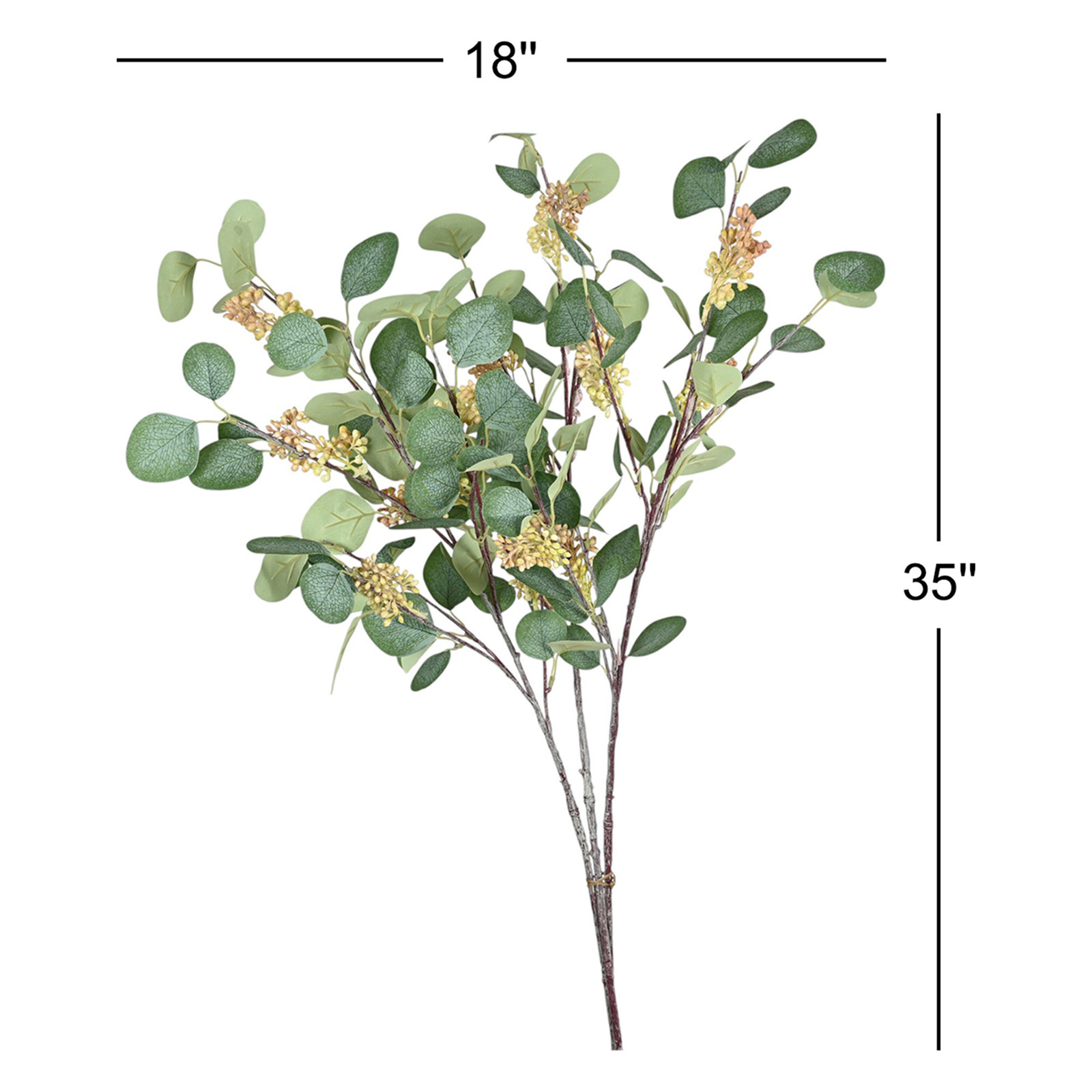 Eucalyptus Blossom Stems