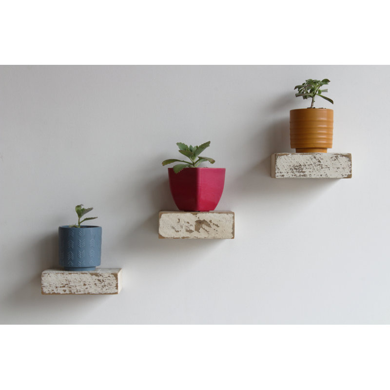 Salomon 3 Piece Solid Wood Floating Shelf, White Washed