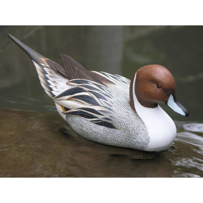 Sealey Figurines & Sculptures