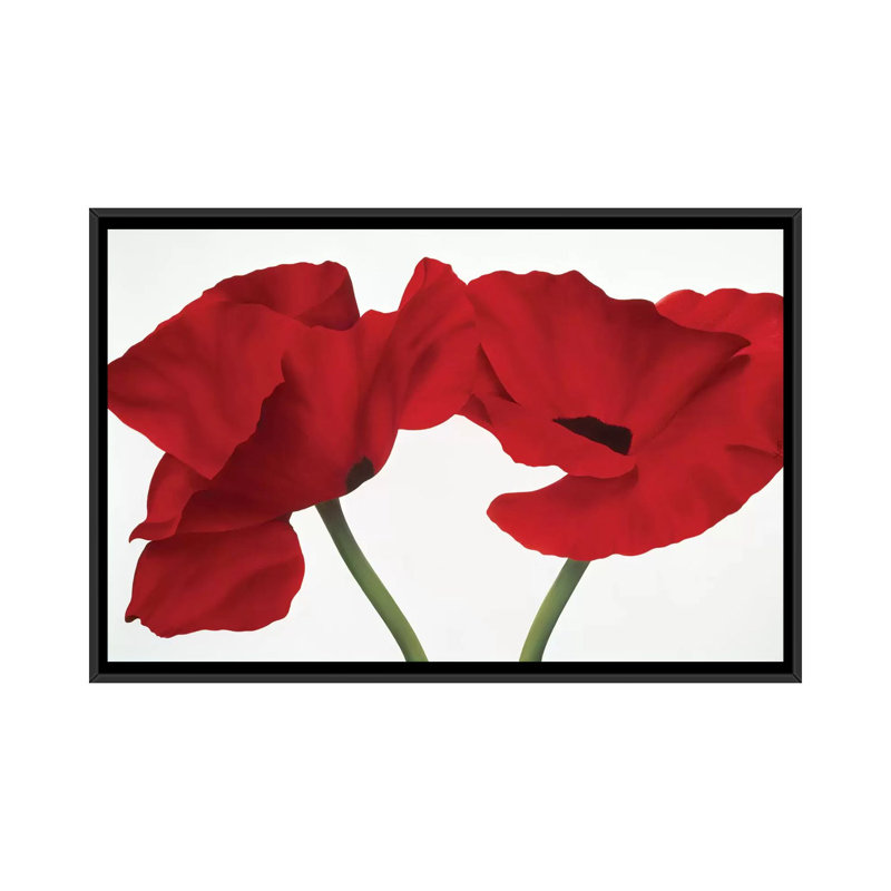 «Poppy Red», impression sur toile, H 18 po x l 26 po x p 1,5 po, Toile avec cadre noir, Pas de tapis