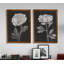 «Black and White Flowers III», ensemble de 2 reproductions d'art encadrées-1201688079-1201688076-1201688119