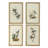 S/4 Bird Framed Print, 15.5X23.5"