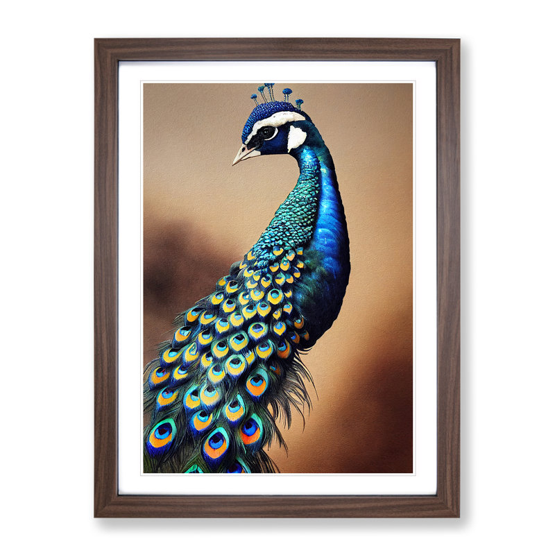 View Of A Peacock No.1 - Single Picture Frame Print, 34cm H x 25cm W x 2cm D, Walnut