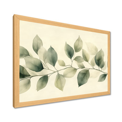 Feuilles de sauge vertes et douces IV - Tableau encadré