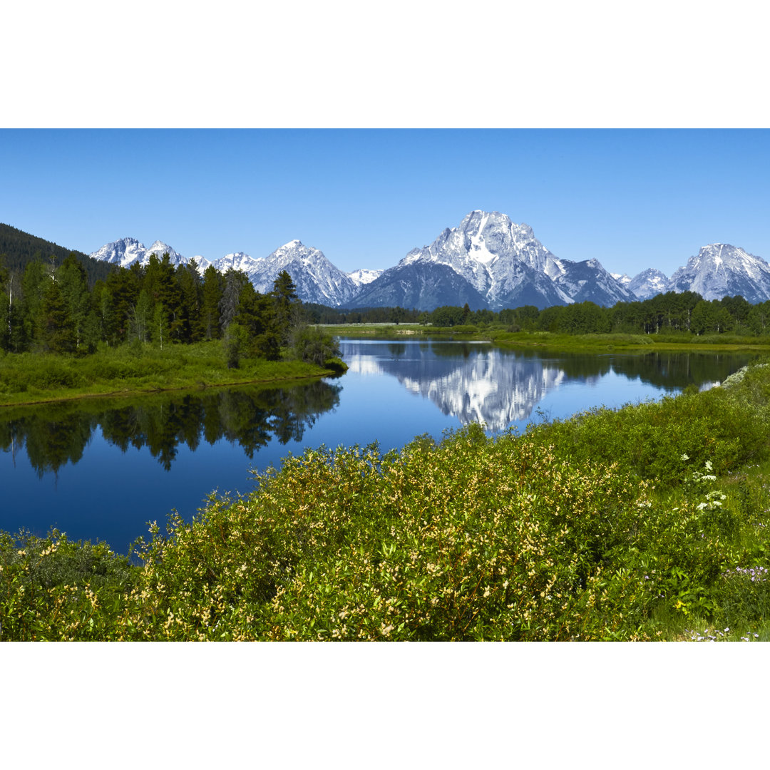 Grand Tetons von Nancy C. Ross - Kunstdrucke auf Leinwand