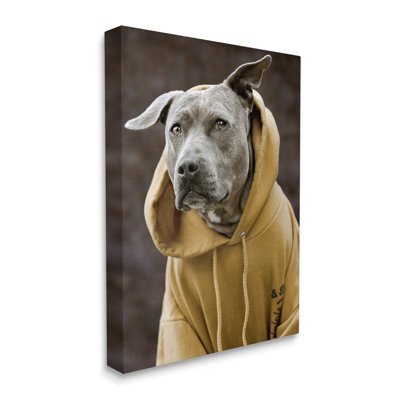 " Smiling Labrador Dog Wearing Hooded Yellow Sweatshirt " by Michael Brian