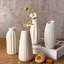 Ensemble de 12 vases blancs en céramique blanche pour vases à bourgeons en vrac pour l'herbe de la pampa, centre de table de mariage, bohème moderne pour vase rustique