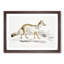 Bengal Fox by John Edward Gray - Single Picture Frame Painting-55466269-55466267