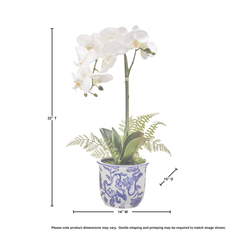 Arrangement floral orchidée en pot
