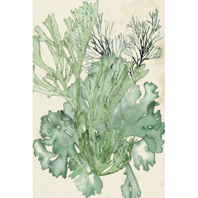 Seaweed Composition II - Wrapped Canvas Painting