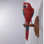 Statue grandeur nature perroquet Ara rouge
