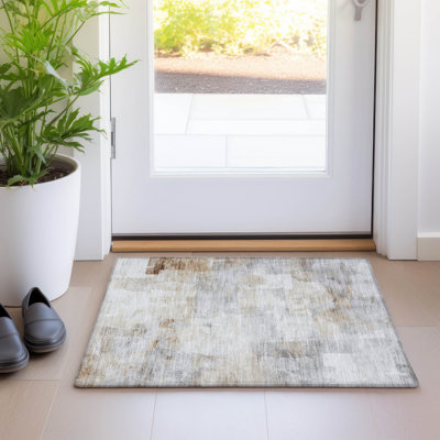 Machine Washable Indoor/Outdoor Claudian ACN1673 Linen Rug