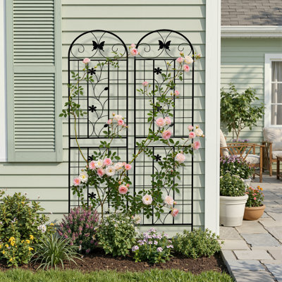 Outdoor Metal Garden Trellises – Freestanding Arch Trellis for Climbing Plants, Set of 2