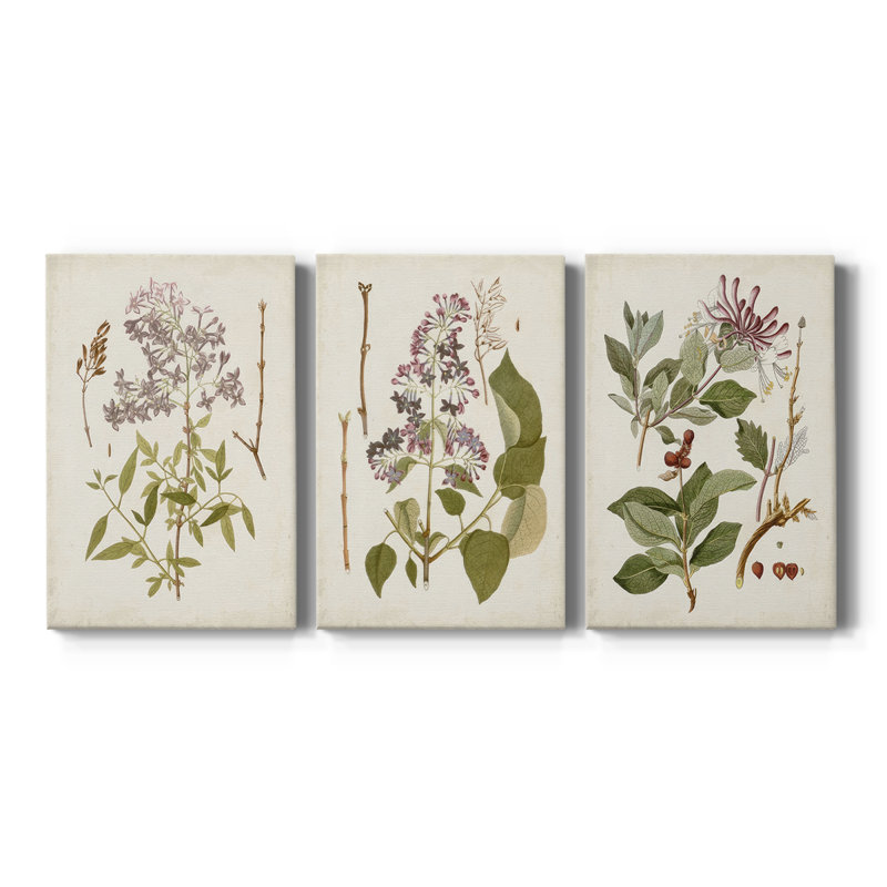 «Vintage Flowering Trees I» - Toile tendue avec châssis sur mesure - 3 pièces, H 18 po x l 36 po