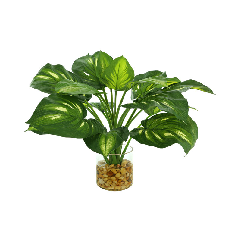 Faux Hosta Plant in Glass Vase
