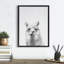 «Alpaca Portrait» par Simon Te, impression sur toile encadrée-1565500852-1565500855