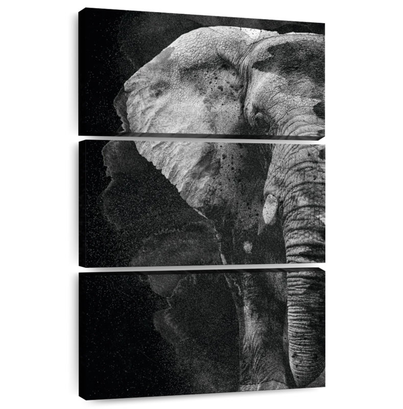 Brampt Elephant Face Black And White, 45" H x 28" W