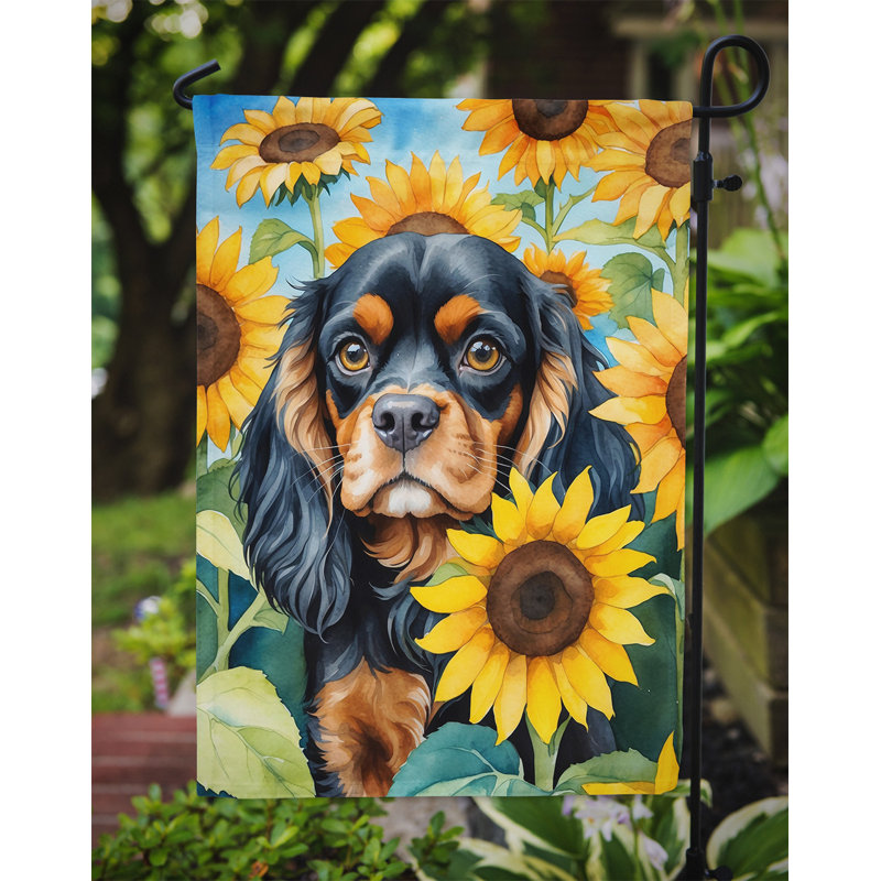 Lévrier irlandais dans le drapeau du jardin de tournesols, Épagneul cavalier noir