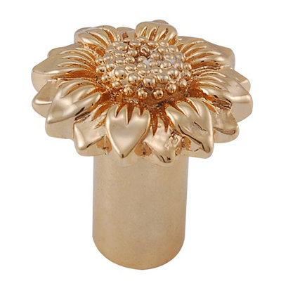Carlotta Novelty Knob