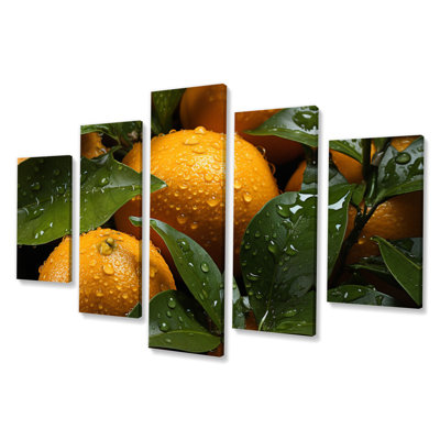 Fresh Fresh Oranges II - fruits, reproduction d'art murale - 5 panneaux