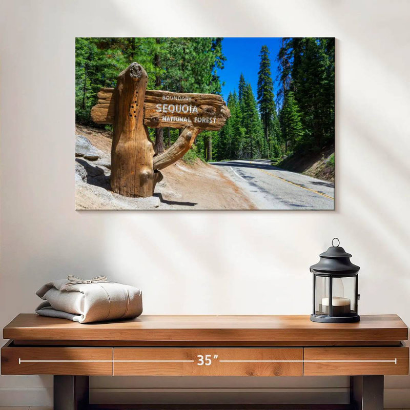 Alvord Sequoia, Californie, H 16 po x l 24 po
