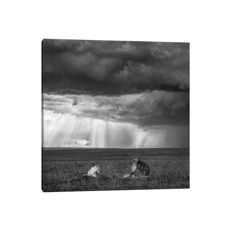 Valentine by John Fan - Wrapped Canvas Print, 30.48 cm H x 30.48 cm W