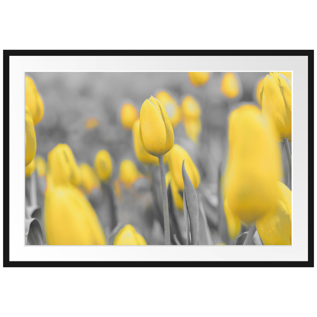 Gerahmter Kunstdruck Yellow Sea of Tulips