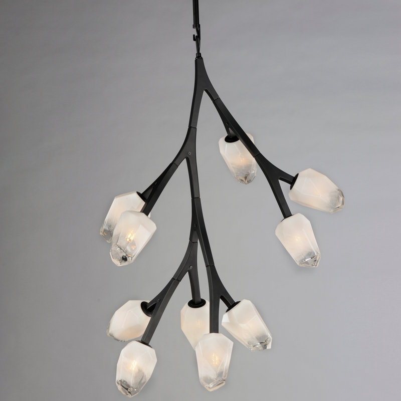 Dreanda 10 - Light Dimmable Novelty Chandelier, Black