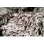 Tapis brun et blanc en peau de vache-1464873334