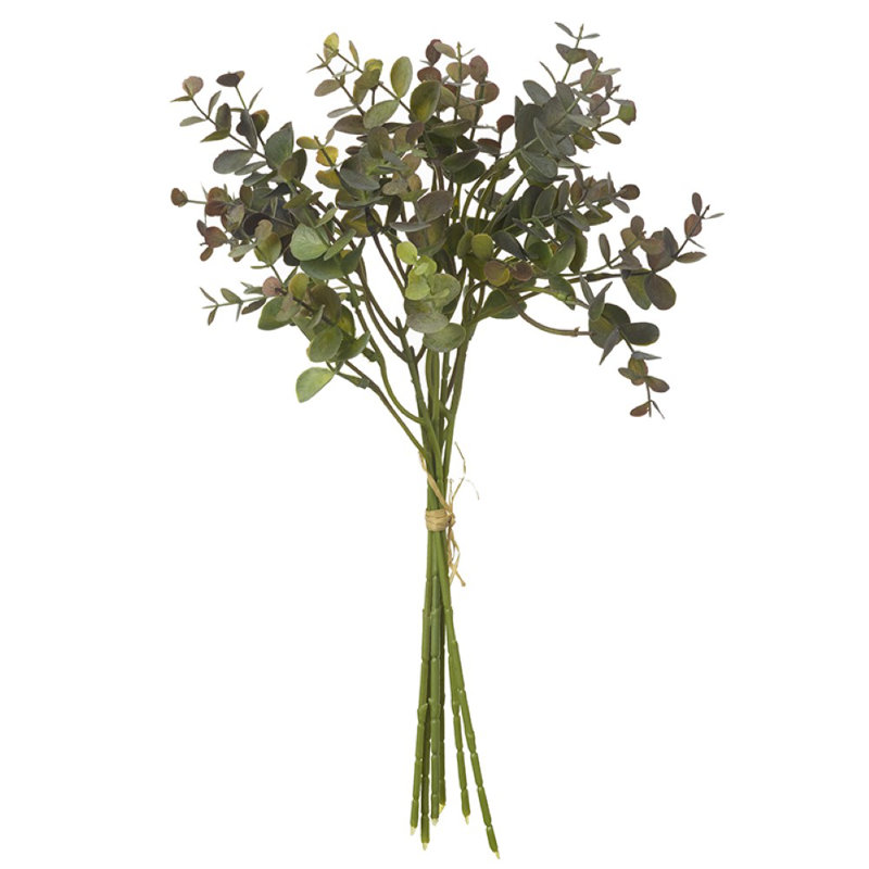 Eucalyptus Arrangement, Brown