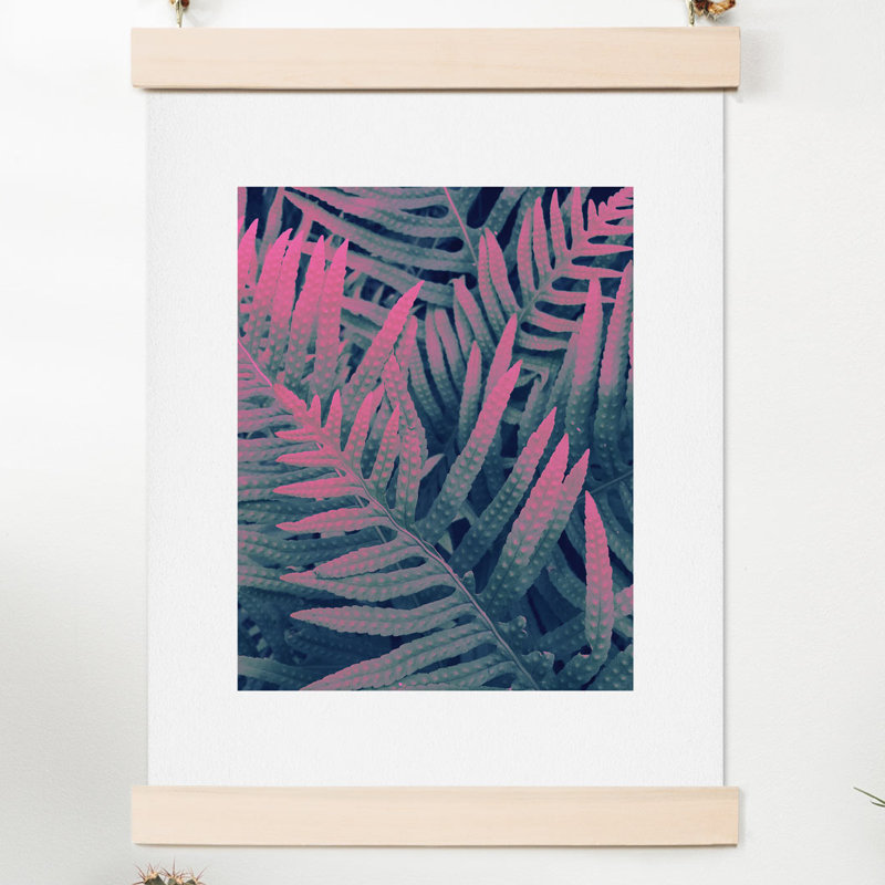 « bold ferns » par emanuela carratoni, reproduction de photo, H 20 po x l 16 po x P 0,12 po
