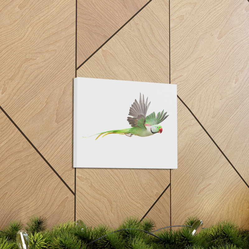 No Frame Print on Canvas, 45.72cm H x 60.96cm W