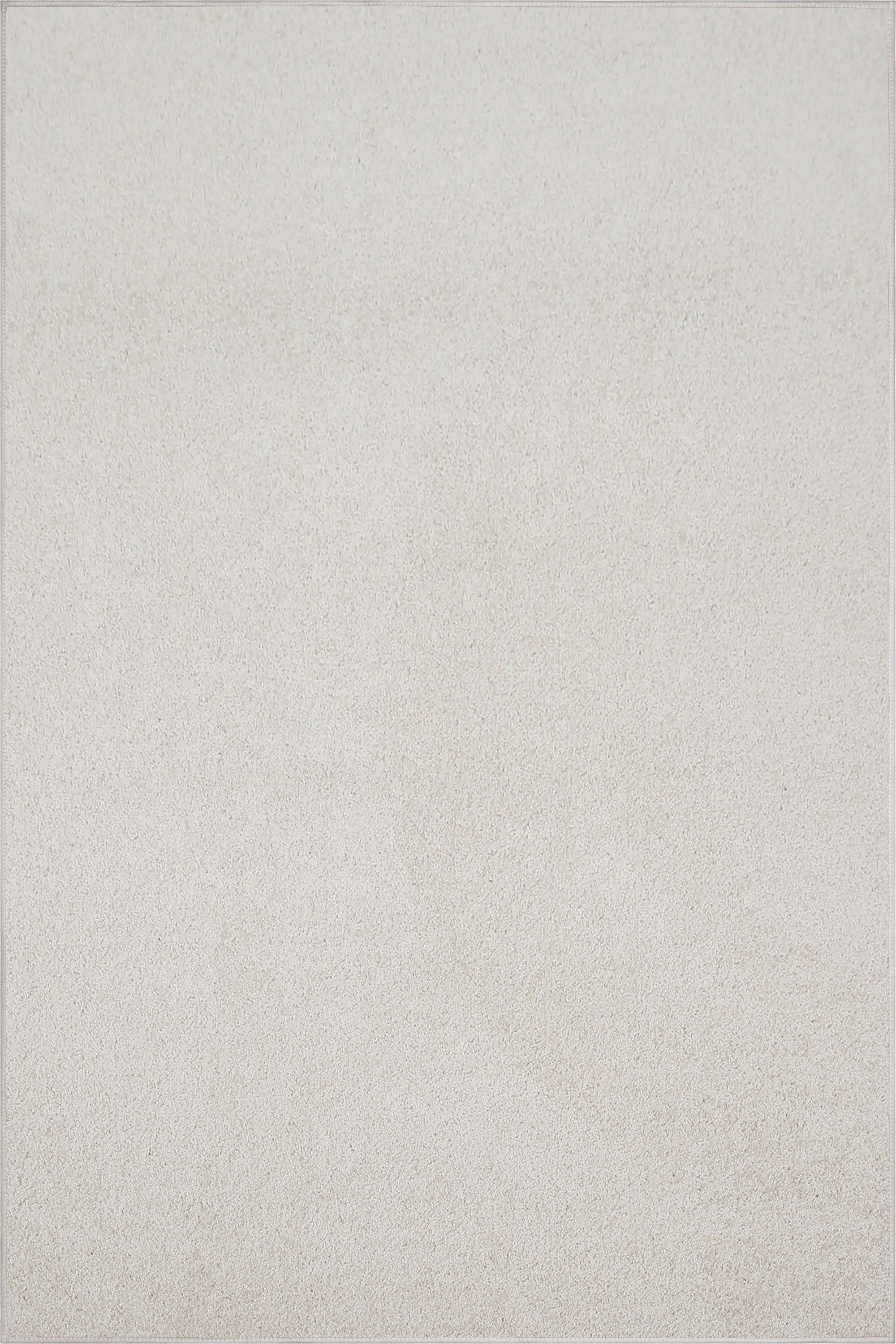 Latitude Run® Off White Area Rug Wayfair