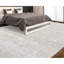 Oriental Area Rug in Beige