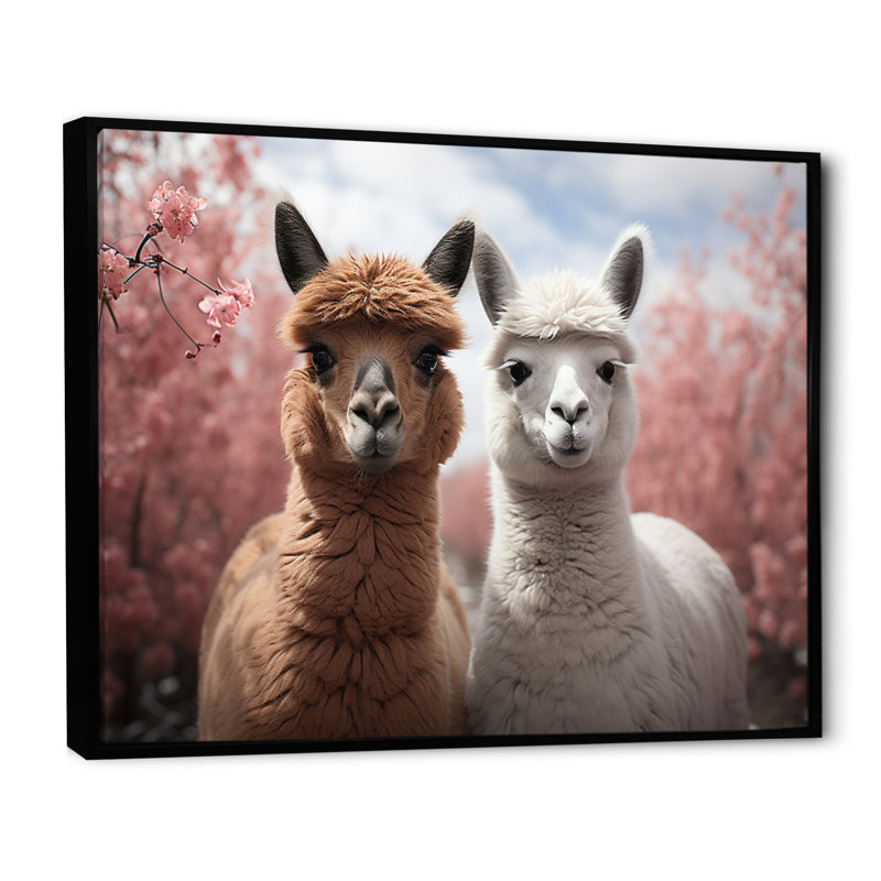 Alpagas Graceful Alpacas II - reproduction sur toile, H 34 po x l 44 po x P 1,5 po, Cadre flottant noir