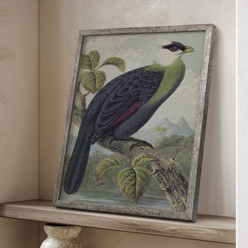 Reproduction encadrée vintage avec imprimé animalier XXXV - bois massif, H 15 po x l 12 po