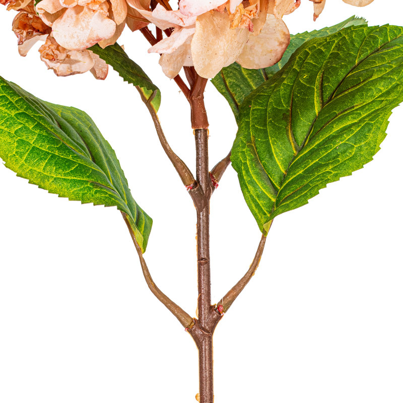 Primrue 20" Hydrangea Stem. Each bag contains two sprays., Brown