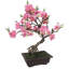 Bonsai artificiel 20 po en pot-1827639174