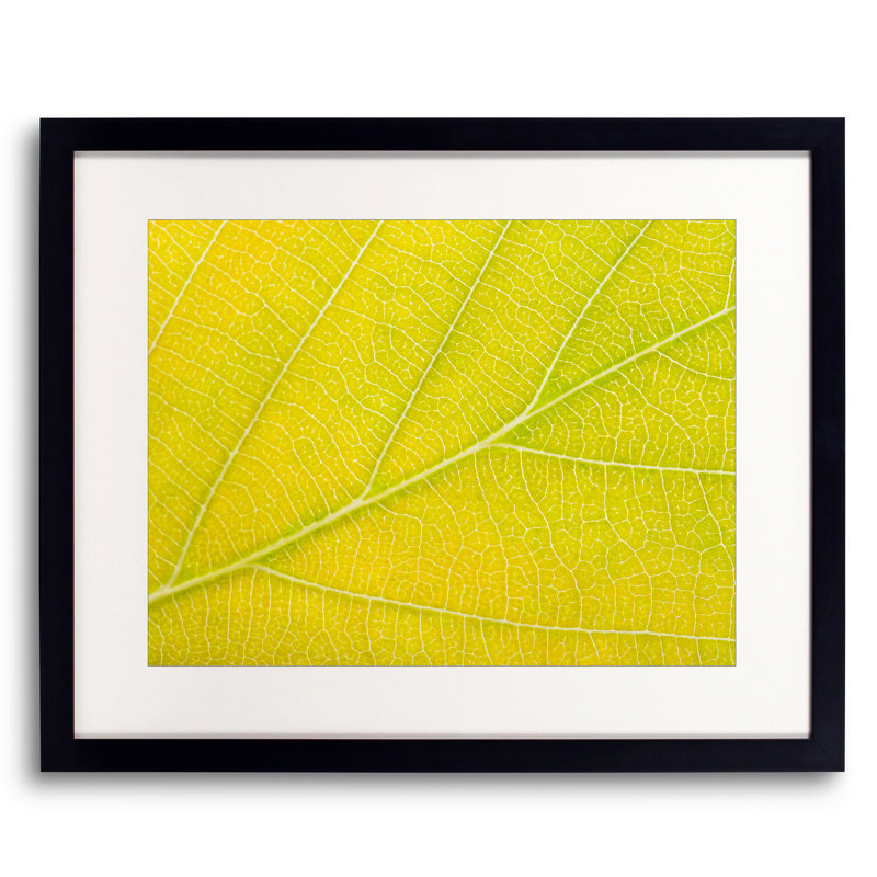 Autumn Leaf by Philippe Monthoux, Black Framed Paper, 16" H x 20" W