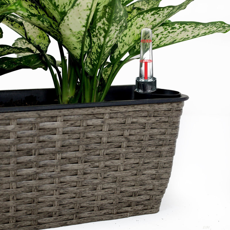 2-Pack Self-watering Planter, Dark Gray